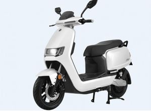 从电力助动到指纹解锁 中国电动两轮车发展简史