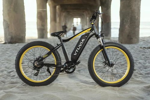 风驰电掣的都市新宠 电动助力自行车（E-Bike）的崛起之路