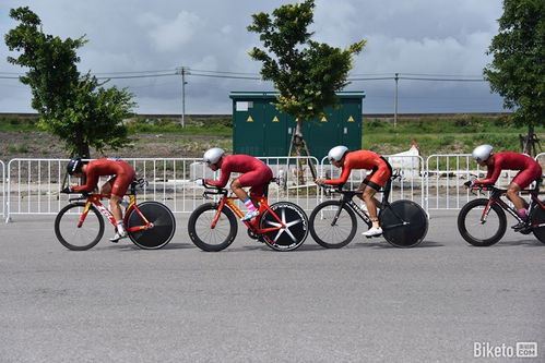 看不见的巨人 解码Pardus瑞豹助动自行车的创新力量